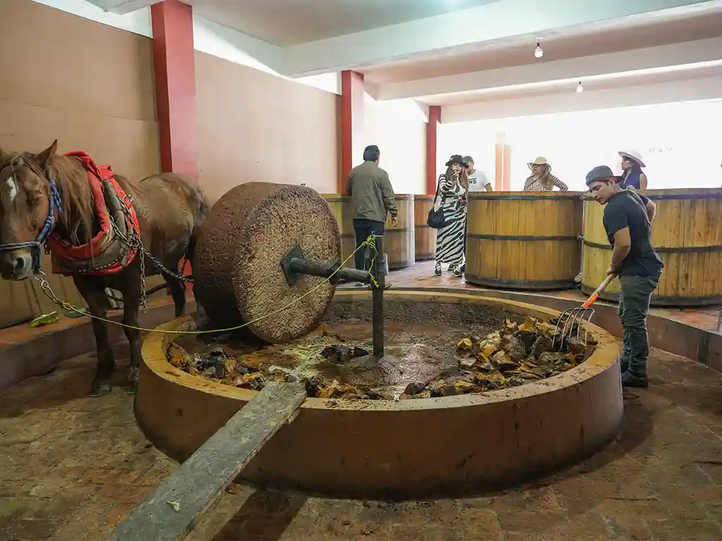 Tour de Mezcal