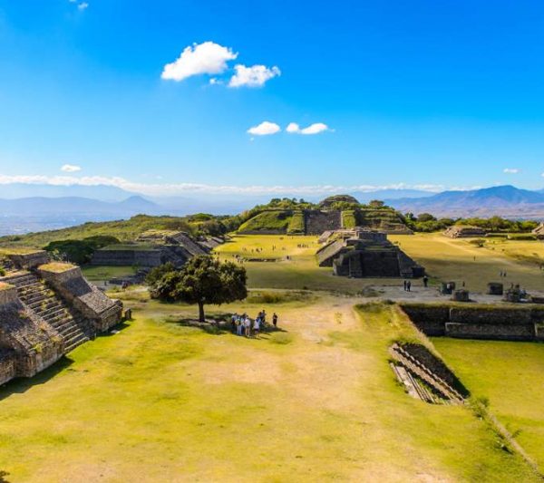 Monte Albán Full